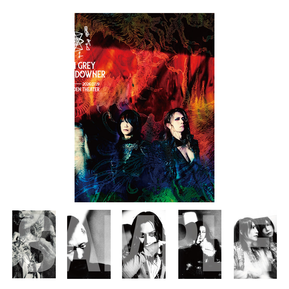 MORTAL DOWNER] ステッカーセット[DAY2] | GALAXY BROAD SHOP