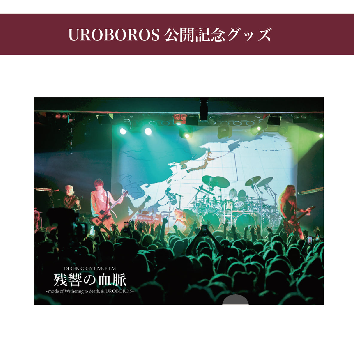 DIR EN GREY DESPAIR IN THE WOMB DVD　未開封 DIR EN GREY☆DESPAIR IN THE WOMB | うつぼ の 不可逆的（裏