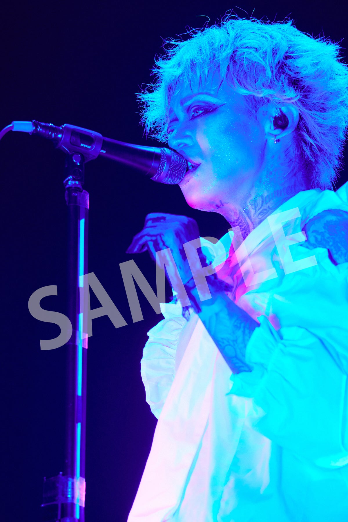 失格弐　京 Amazon.co.jp: 京 失格 弐 参 (サイン入り) 阿吽の蟻 弐 3冊