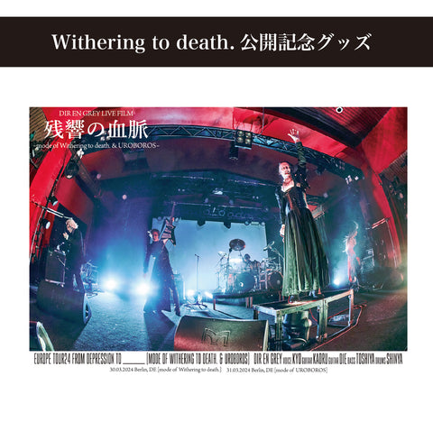 DIR EN GREY 残響の血脈 復刻Tシャツ Lサイズ TOUR22 FROM DEPRESSION TO ________Phylogenetic tree T-Shirt
