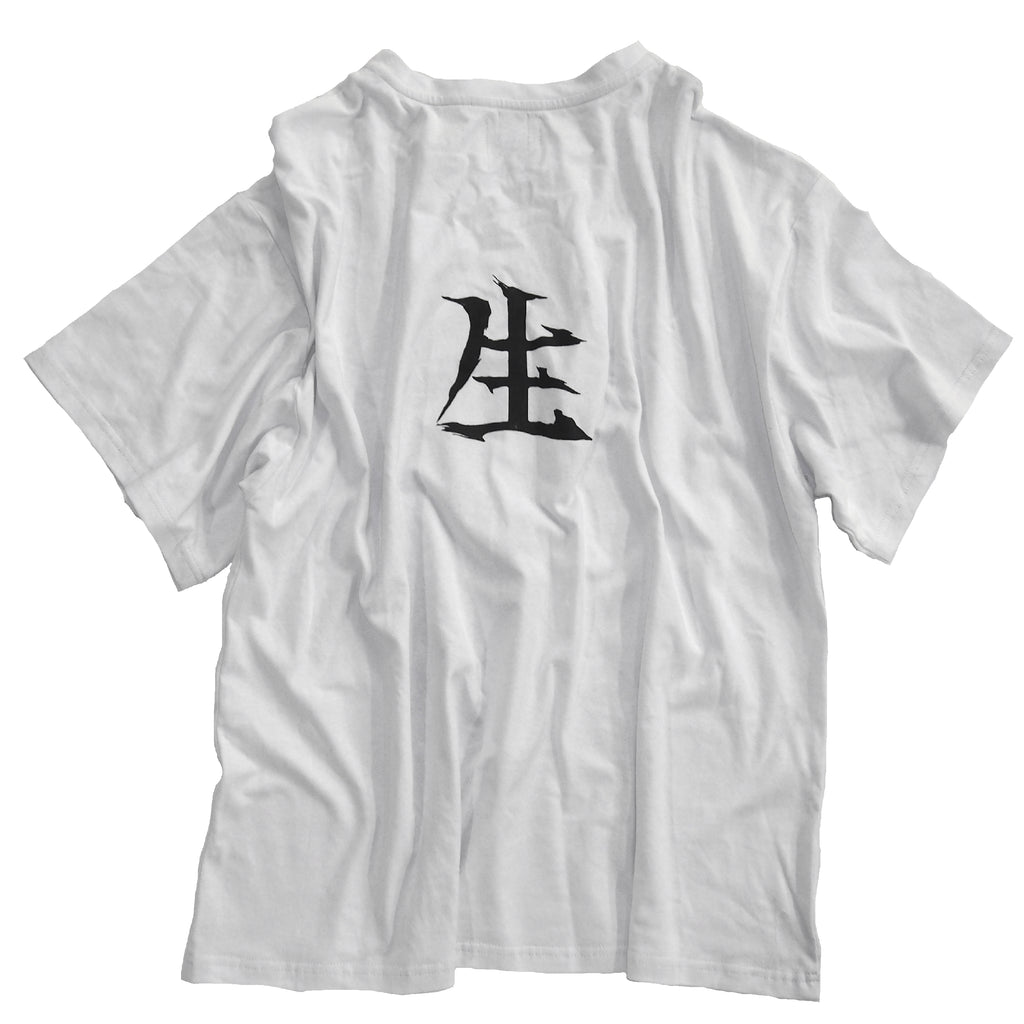 Damaged T-shirt