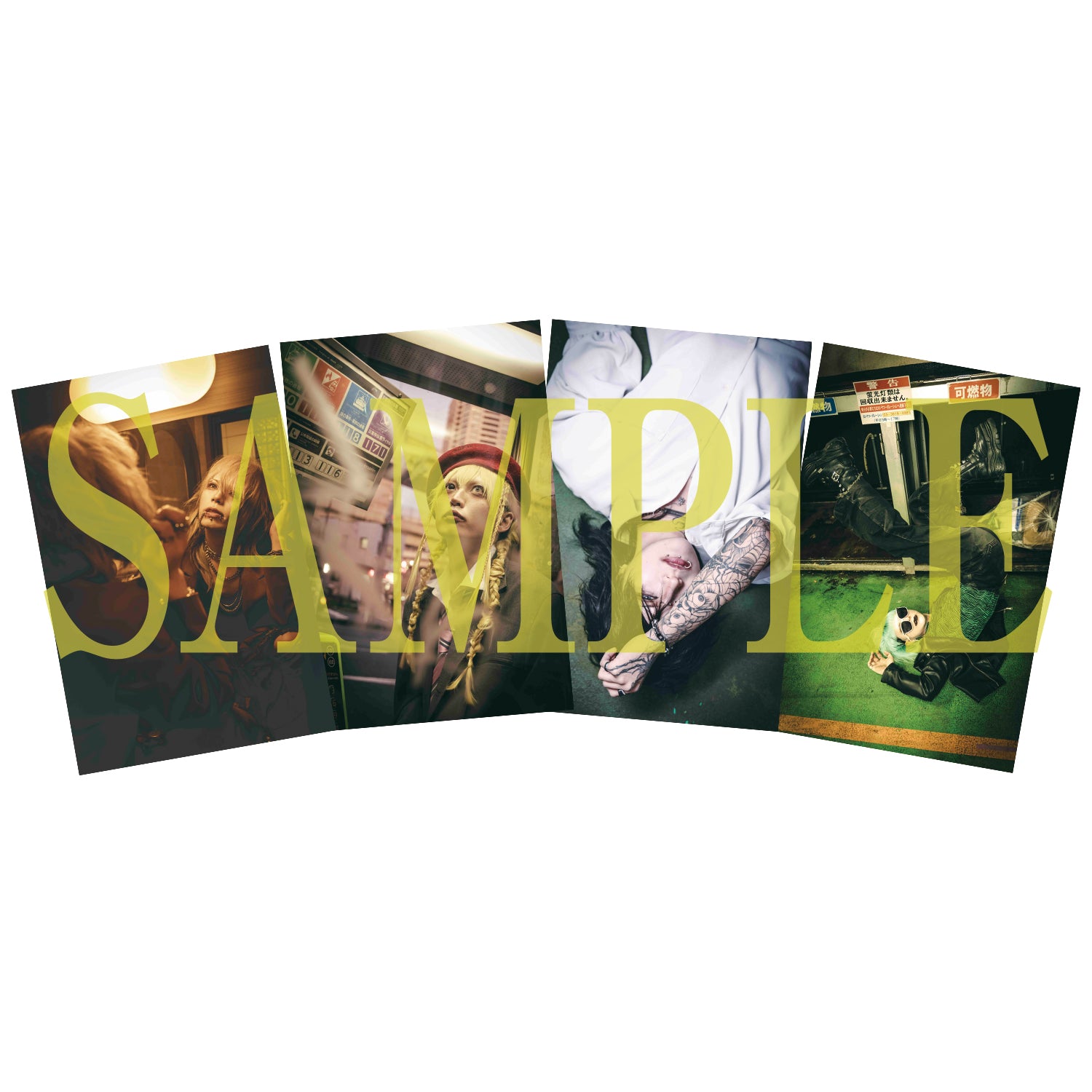 sugar | GALAXY BROAD SHOP