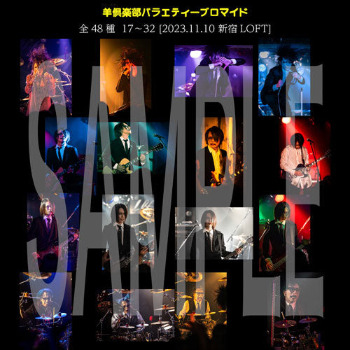 「HUMOR」  Hitsuji Club Variety Portrait Photos (May come with a Lucky Ticket!)