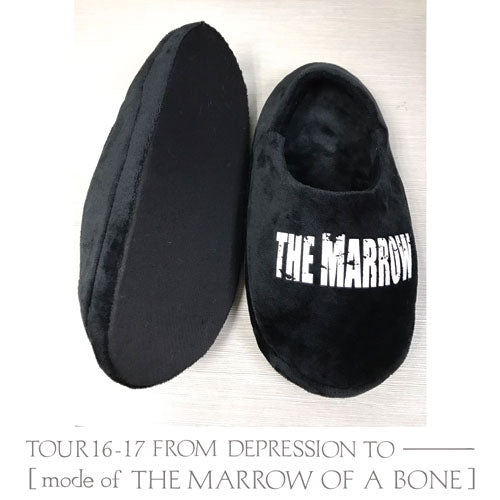 TOUR16-17 FROM DEPRESSION TO ________ [mode of THE MARROW OF A BONE] Slippers