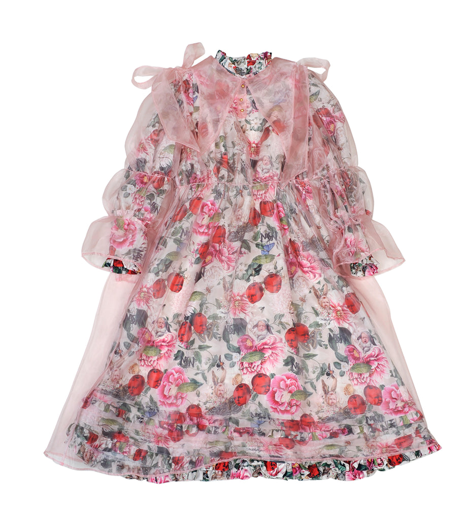 Strange cherry and howl rabbit long dress (PINK)