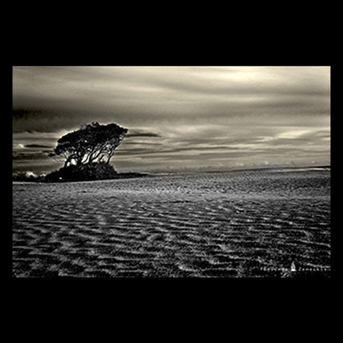 写真集「for the human race」SpecialCover | GALAXY BROAD SHOP